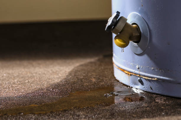 Best Local water damage restoration  in Wray, CO