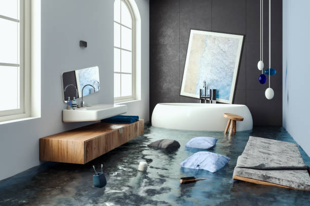 Best Water damage contractors near me  in Wray, CO