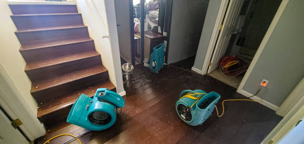 Best Water damage repair service  in Wray, CO