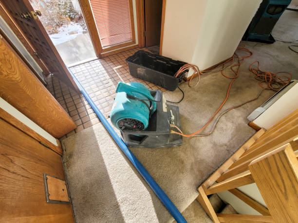 Best Carpet water damage restoration  in Wray, CO