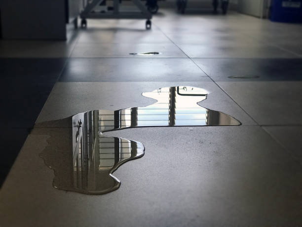 Best Water damage restoration company  in Wray, CO