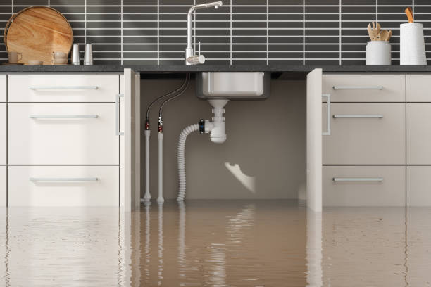 Best Water damage cleanup near me  in Wray, CO