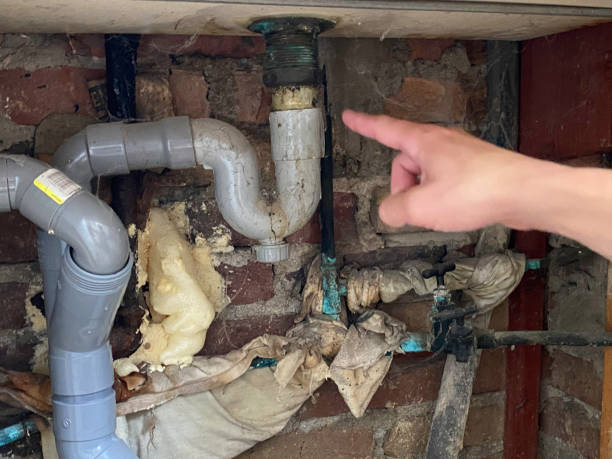 Best 24/7 water damage repair  in Wray, CO